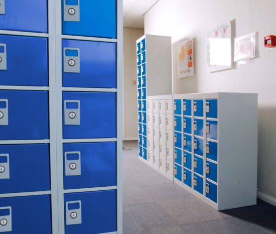 Fast Delivery Phone lockers