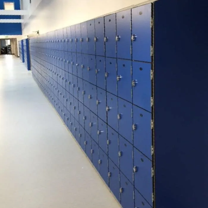 Heavy Duty lockers at Wolfreton School